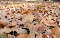 Sárvár, Várkerület, ősz