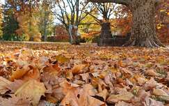 Sárvár, Várkerület, ősz