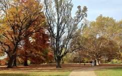 Sárvár, Várkerület, ősz