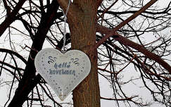 helló november, fotó grafika