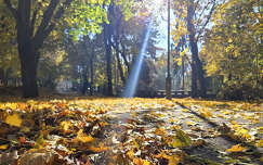 Balatonfűzfő, Doktorkert