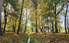 Balatonfűzfő, Doktorkert, Bugyogóforrás