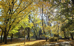 Balatonfűzfő, Doktorkert