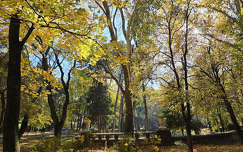 Balatonfűzfő, Doktorkert