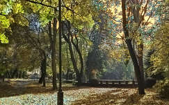 Balatonfűzfő, Doktorkert