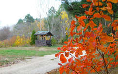 Veszprém, Kádárta, Horgásztó környéke