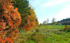 Veszprém környéke, út