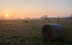 November reggel, Balatonfűzfő