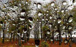 ősz vízcsepp montázs címlapfotó