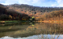 ősz erdő tó címlapfotó tükröződés