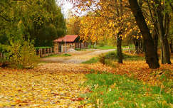 Balatonfűzfő, ősz, út