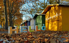 fotó, grafika, ősz