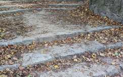 erdő, lépcső, ősz, avar