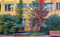 Zugló, botanikai kert részlete