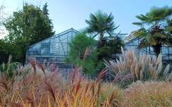 Zugló, botanikai kert részlete