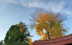 Zugló, Japánkert részlete