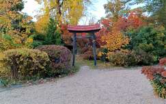 Zugló, Japánkert részlete