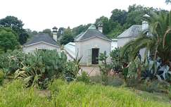 Keszthely, Pálmaház