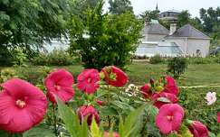 Keszthely, Pálmaház