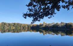 Tata, Cseke-tó, tükröződés, ősz, erdő, tó