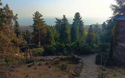 ősz, délután, Folly arborétum, Balaton