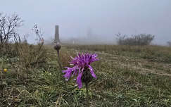 Soós-hegyi kilátó és Soós Lajos emlékmű a ködben - Balatonkenese
