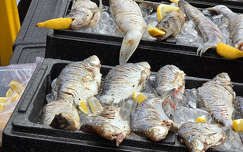 Tihany, Garda fesztivál 2025