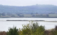 Tihanyi Belső-tó a ködben