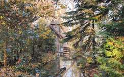 erdő, fa, fenyő, tó, tükröződés, malom, avar, ősz