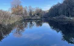 Veszprémvölgy park