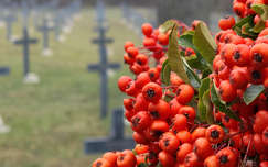 Német katonai temető - Balatonkenese