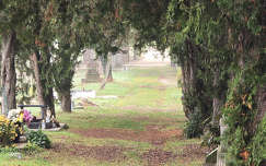 Sírkert - Balatonkenese