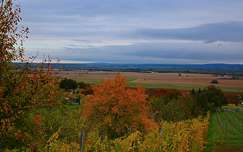 Kilátás a Somló hegyről