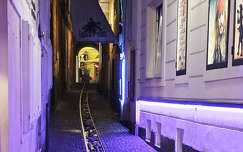 A miniszobor, a „Kutyasétáltató” (Dog Walker) vagy egyszerűen csak a „Kutya” nevet viseli – Ljubljana, Szlovénia.