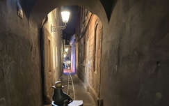 A miniszobor, a „Kutyasétáltató” (Dog Walker) vagy egyszerűen csak a „Kutya” nevet viseli – Ljubljana, Szlovénia.