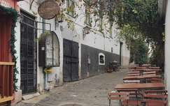 Szentendre, utca, vadszőlő