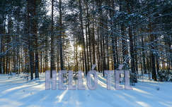 helló tél, grafika