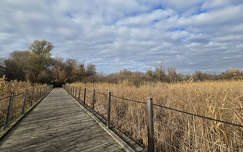 Balatonfűzfő, stég