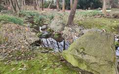 kert, patak, kő, tél