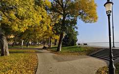 Szeged Stefánia, Tiszapart.