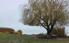 Balatonfűzfő és a köd