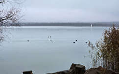 Balaton, Balatonfűzfő, köd, vitorlás decemberben