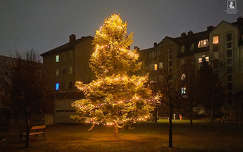 mindenki karácsonyfája, Balatonalmádi, Budatava Park