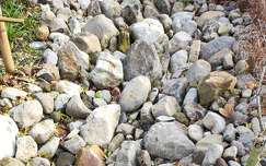 kövek