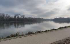 Duna, Duna-part, folyó, erdő, tél