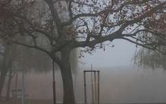 Ködös-párás Balaton part.