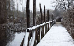 Veszprém, téli séta a Kolostorok és Kertek parkban.