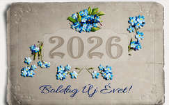 szilveszter, grafika