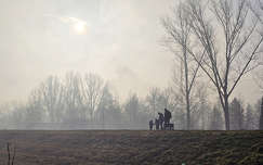 Köd, Gemenci erdő, család a töltésen