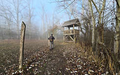 Köd előttem, köd mögöttem, a Gemenci erdőben